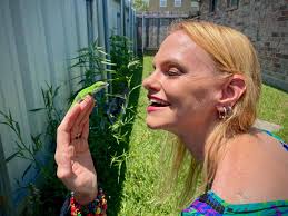 Which design do you like best? Evil fairy or cute dragon?