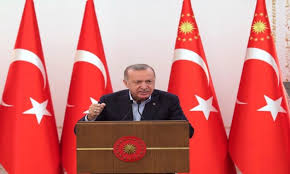 Orta doğu'da, akdeniz kıyısında, i̇srail ve mısır arasında bulunur. 815ykdy67 Btpm