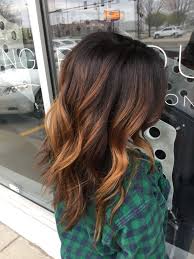What highlights go with black hair? Warm Balayage Dark Hair Novocom Top