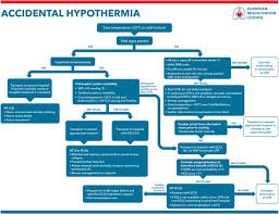 Amiodarone is the treatment of choice in shock resistant ventricular fibrillation and pulseless ventricular tachycardia. European Resuscitation Council Guidelines 2021 Cardiac Arrest In Special Circumstances Sciencedirect