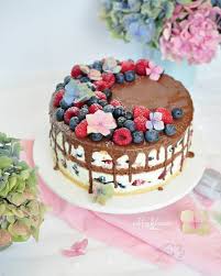 Schoko Blaubeer Himbeer Torte Rezept Bald Im Blog Recipesoonontheblog Himbeeren Blaubeeren Blueberris Backen Bake Lecker Yum Cake Cupcake Cakes Torte