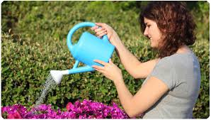Hire an affordable landscaper near you. Affordable Landscaping Near Me Affordable Landscaping