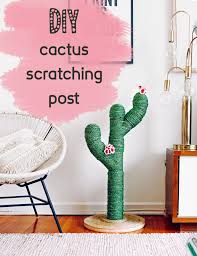 Chuck built this fantastic cactus for the kitties over his summer break. Make A Super Cute Cactus Scratching Post Best Friends Pizza Club