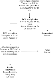 The lowry method is sensitive to low concentrations of protein. A Rapid And General Method For Measurement Of Protein In Micro Algal Biomass Sciencedirect