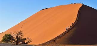 Tripadvisor has 7,123 reviews of sossusvlei hotels, attractions, and restaurants making it your best sossusvlei tourism: Namib Naukluft Park Namibia Reiseziele Rhino Africa
