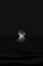 Langit, bintang, fenomena atmosfer, objek astronomi, suasana, pohon, gurun, gunung, ruang, pemandangan, awan, taman nasional, tengah malam, alam. 55 Ide Langit Malam Langit Malam Langit Malam