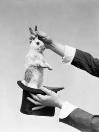 Hands Of Magician Performing Magic Trick Pulling Rabbit Out Of Top Hat The Magicians Magic Illusions Magic Tricks