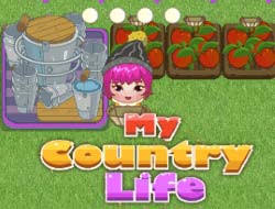 La casa del presidente de ee. Juego El Viejo Macdonald Tenia Una Granja En Linea Juega Gratis