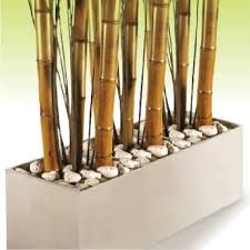 La decoración navideña es la decoración que se hace en las casas y en las ciudades durante la época de navidad y el adviento. Paredes Con Madera Canas De Bambu Decoracion Canas De Bambu Decoracion De Unas