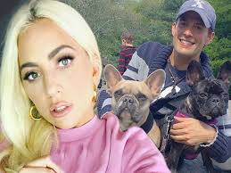The horrifying moment lady gaga's dog walker was shot in the chest and two of her french bulldogs were stolen in los angeles on wednesday night has been revealed in. Bna6obilq8tegm