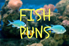We did not find results for: The Ultimate Fish Puns Collection 2021