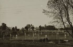 Parramatta Tennis Courts With Bowling Green Behind Parramatta Park In The 1920s Parramatta Heritage Centre Bowling Green Country Roads Heritage Center