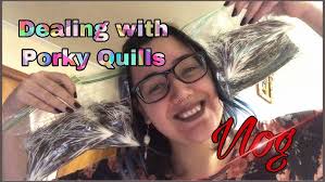 Dyeing Porcupine Quills