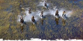 Maybe you would like to learn more about one of these? Choosing The Right Okavango Delta Safari In Botswana Worldwide Hoofprints Tales From The Saddle