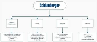 60 hand picked schlumberger organizational chart