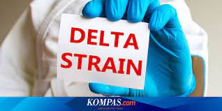 Ciri kimiawinya adalah c/n rasio kecil (bahan pembentuknya sudah tidak terlihat) dan temperaturnya relatif stabil. 10 Gejala Terinfeksi Virus Corona Varian Delta Termasuk Pada Anak Halaman All Kompas Com