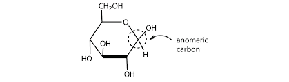 What is an anomeric carbon? 16 4 Cyclic Structures Of Monosaccharides The Basics Of General Organic And Biological Chemistry