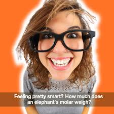 Get the latest news and education delivered to your inb. 9 Dental Related Fun Facts Cosmetic Dentist Dr Stutsman Stutsman Dentistry In Goshen Indiana
