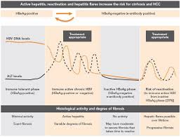 Primary Care Management Of Hepatitis B Quick Reference