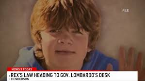 Rex's Law, raising penalty for reckless driving, heads to governor's desk