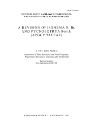 Image result for Isonema infundibuliflorum