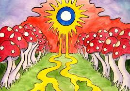 Here are only the best trippy shroom wallpapers. Magic Mushroom Wallpapers Wallpaper Cave