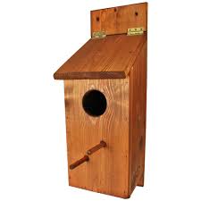 Image result for Flyte Blackbird Nest Box