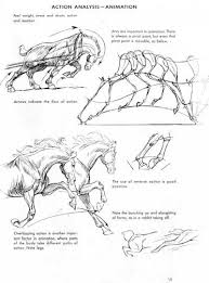 Pin By Khaled Chahed On Chevaux Animal Drawings Horse Drawings Animal Art