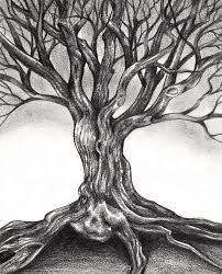 Simple Sketches Tree Of Life Drawing