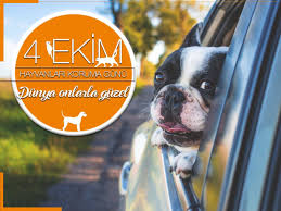 Sixt Rent A Car Turkiye Panosundaki Pin