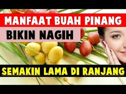 Luar Biasa Manfaat Buah Pinang Buat Pria Dan Wanita Youtube The Originals Bikins