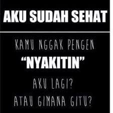 Halloween wallpaper animasi bergerak for android apk download. 110 Ide Oding Kutipan Lucu Kata Kata Ungkapan Lucu