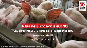 La fondation 30 millions d'amis lutte constamment contre toutes les formes de souffrance animale en france et à l'étranger. 30 Millions D Amis Officiel Home Facebook