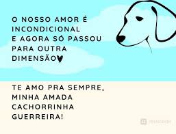 Pin Em Amor Da Vovo