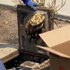 Most health insurance plans now cover prescription birth control, annual wellness exams, and hiv and std screenings with no copay, and many other. Abc Bee Control 29 Reviews Pest Control 1223 Wilshire Blvd Santa Monica Ca Phone Number Yelp