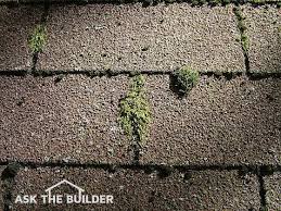 How to get moss off roof. Removing Moss And Algae From Roofs