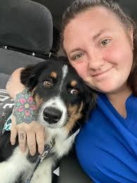 Does the Arcadia Trail Pet Gear hold up well?