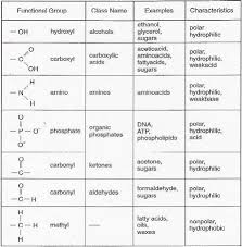 Functional Group Priority Chart Unique Chemical Functional