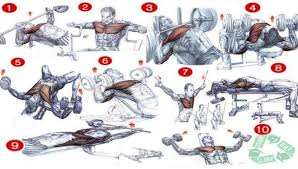 Chest Workout Chart Best Fitness Workout Healthy Body Fit