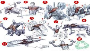 chest workout chart best fitness workout healthy body fit