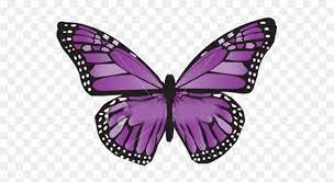 Vintage purple butterflies, vintage butterfly clipart, antique scientific illustrations png graphics, scrapbook embellishments digitalcurio 5 out of 5 stars (37,154) sale price $1.48 $ 1.48 $ 2.97 original price $2.97 (50% off. Purple Butterfly Clipart Hd Png Download Vhv