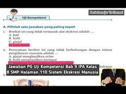 Kunci jawaban ipa kelas 8 semester 1 halaman 110. 87 Gambar Hati Ipa Gambar Pixabay