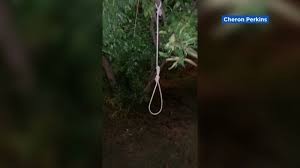 Csi detective in front of the hanged dead man feet hanging from a tree. Medical Student Finds Noose Hanging From Tree On Stanford Campus Abc7 San Francisco