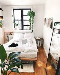 Black pepper vineis the very same plant that spice your food can actually serve as great hanging plants for living rooms as well. 18 Best Plants For Bedrooms Swiss Cheese Plant Fiddle Leaf Fig Tree And More Glamour