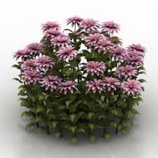 Flowers 3d Model 3d Model Flowers Model
