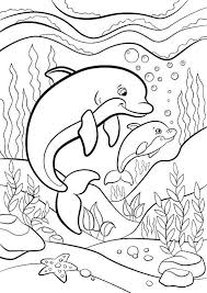 Dolphin Coloring Pages Free Hard Dolphin Coloring Pages Mermaid Coloring Pages Ocean Coloring Pages