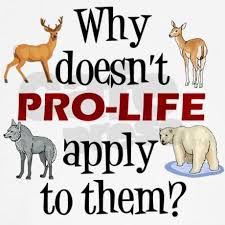 Pro Life Vegan Men S Hooded Sweatshirt Anti Hunting Animal Rights Hooded Sweatshirt By Quotable Tv Shop Cafepress In 2021 Animal Rights Vegan Animals Animals