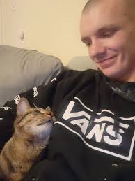 Lost cat in Clairview, Harrison Drive NE, wearing a purple bandana