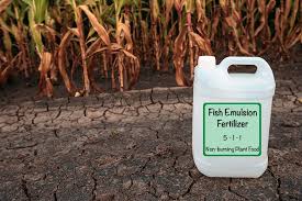 We did not find results for: Fish Emulsion Fertilizer How To Use Fish Emulsion On Plants Trees Com