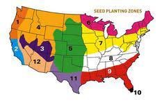 When To Plant Grass Seed In Your State Seeding Lawn Best Grass Seed Lawn Best Grass Seed